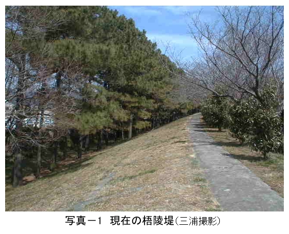 第二百二十一段：南海トラフ巨大地震とその時代⑨安政南海地震(1)