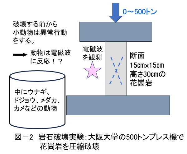 第二百二十四段：南海トラフ巨大地震とその時代⑬安政江戸地震(3)