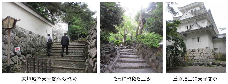 第二百三十九段:南海トラフ巨大地震とその時代21